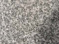 Moins cher Nouveau G654 Granit Gris Foncé