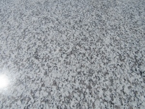 Granit blanc chinois Nouveau granit blanc G439 Jilin