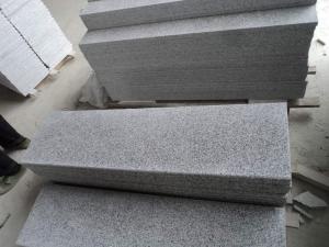 Conception intérieure de pas de granit pour des escaliers de tuile de maison