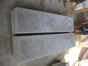 Conception intérieure de pas de granit pour des escaliers de tuile de maison