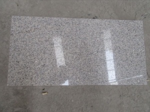 Nouveau revêtement mural de carrelage en dalles de granit blanc G355