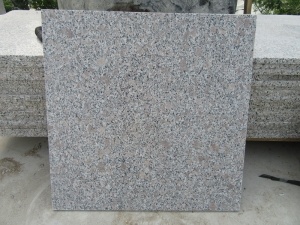  G383 Tuile la plus populaire de granit gris perle fleur